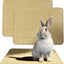 2 Pzas Almohadillas Rascadoras Conejo Sisal Antideslizante 16x12
