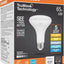 Bombilla LED inundación BR30 dimmable