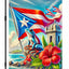 Bandera Puerto Rico 12x18" rana coqui hibisco