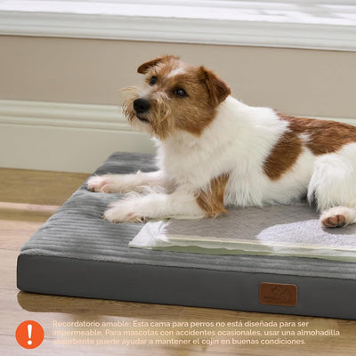 Alfombrilla espuma perros gran tamaño 35x22pulg no masticable