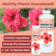 Fertilizante líquido hibisco para flores 8oz