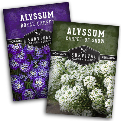 Semillas Alyssum variedades alfombra púrpura y blanca