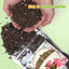 Tierra para macetas cactus Navidad 1qt suculentas