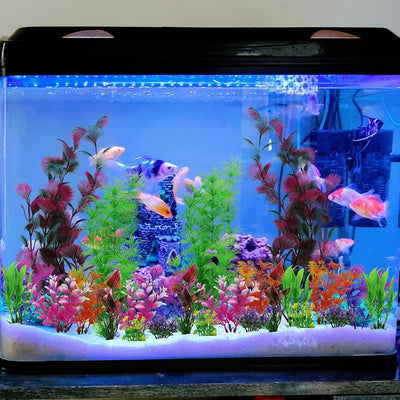 25 Plantas Acuario Decorativas para Hogar y Oficina