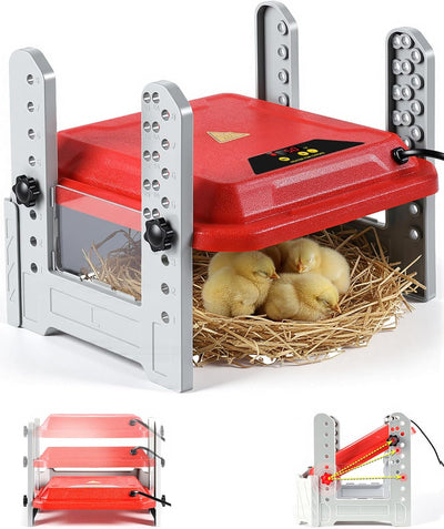 Plato criador pollos inteligente con pantalla LCD y calentador de 50 W