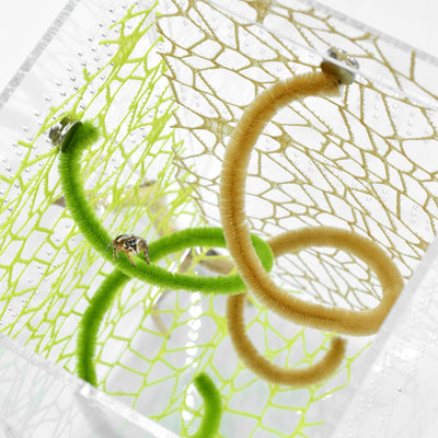 8 Accesorios Telaraña Saltadora con Imanes Verde Caqui