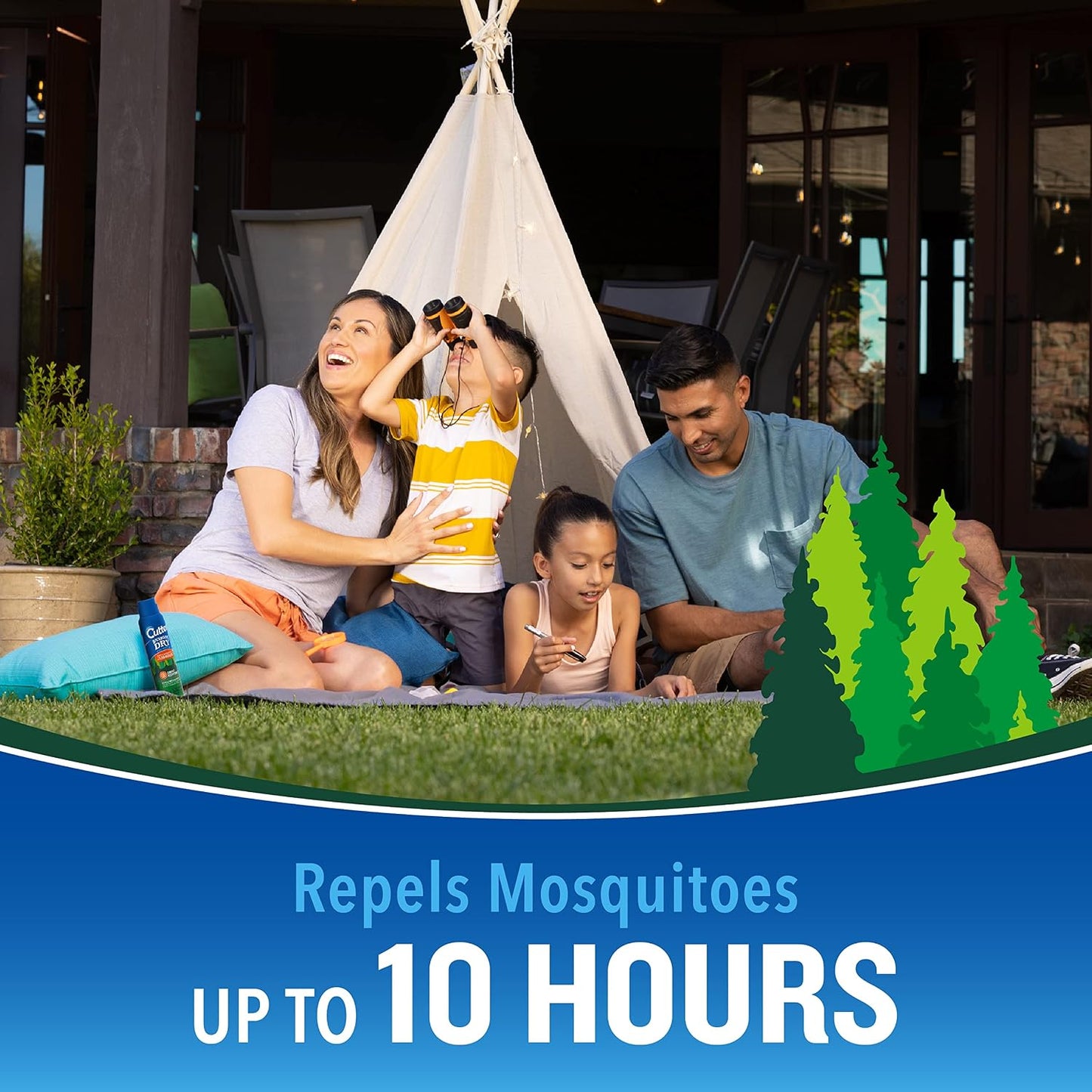 Repelente mosquitos aerosol Backwoods 25 0.25lb