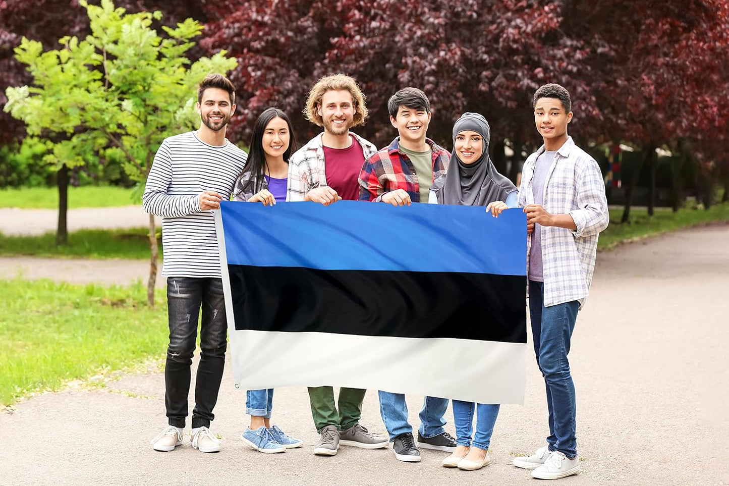 Bandera Estonia poliéster 3x5ft con ojales latón