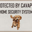 Tapete bienvenida perro Cavapoo protegido sistema seguridad