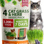 Recambio hierba gatera avena alfalfa sin OMG para gatos