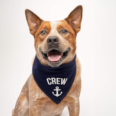 Bandana perro tripulación ancla 100% algodón azul marino XS