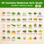 Cofre semillas hierbas medicinales 40 variedades sin OMG