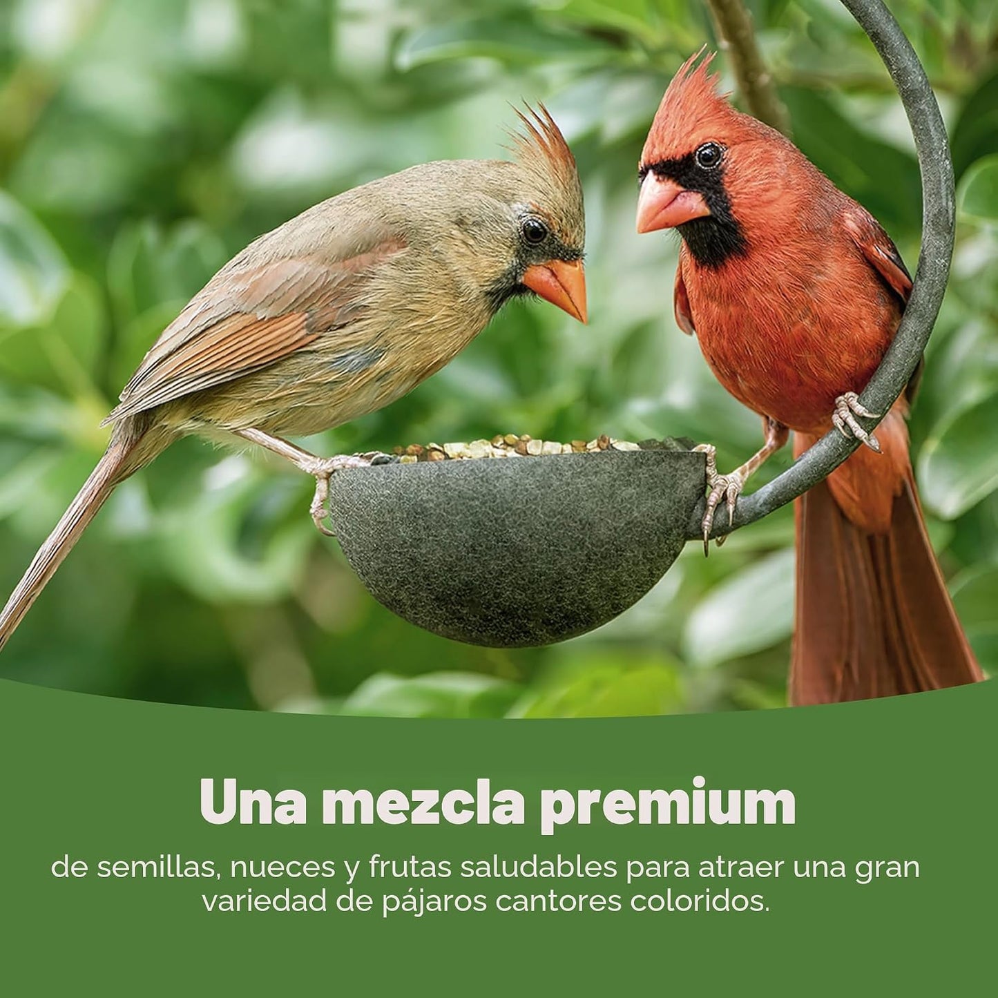 Alimento para aves silvestres 9.75lb