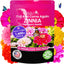 Semillas zinnia para plantar al aire libre 0.35oz