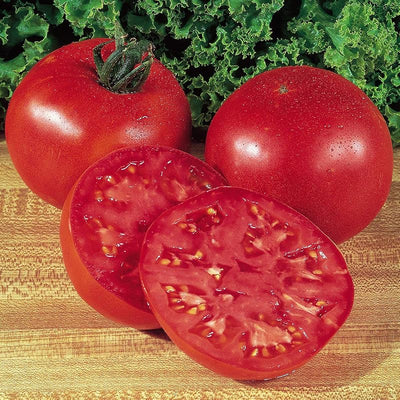 Semillas tomate Big Boy 125 unidades