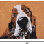 Felpudo Basset Hound marrón/blanco 24x36pulg