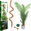 Soporte plantas Monstera 49" poste musgo fibra coco