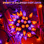 Luces Halloween C6 200 LED 66ft enchufables con temporizador