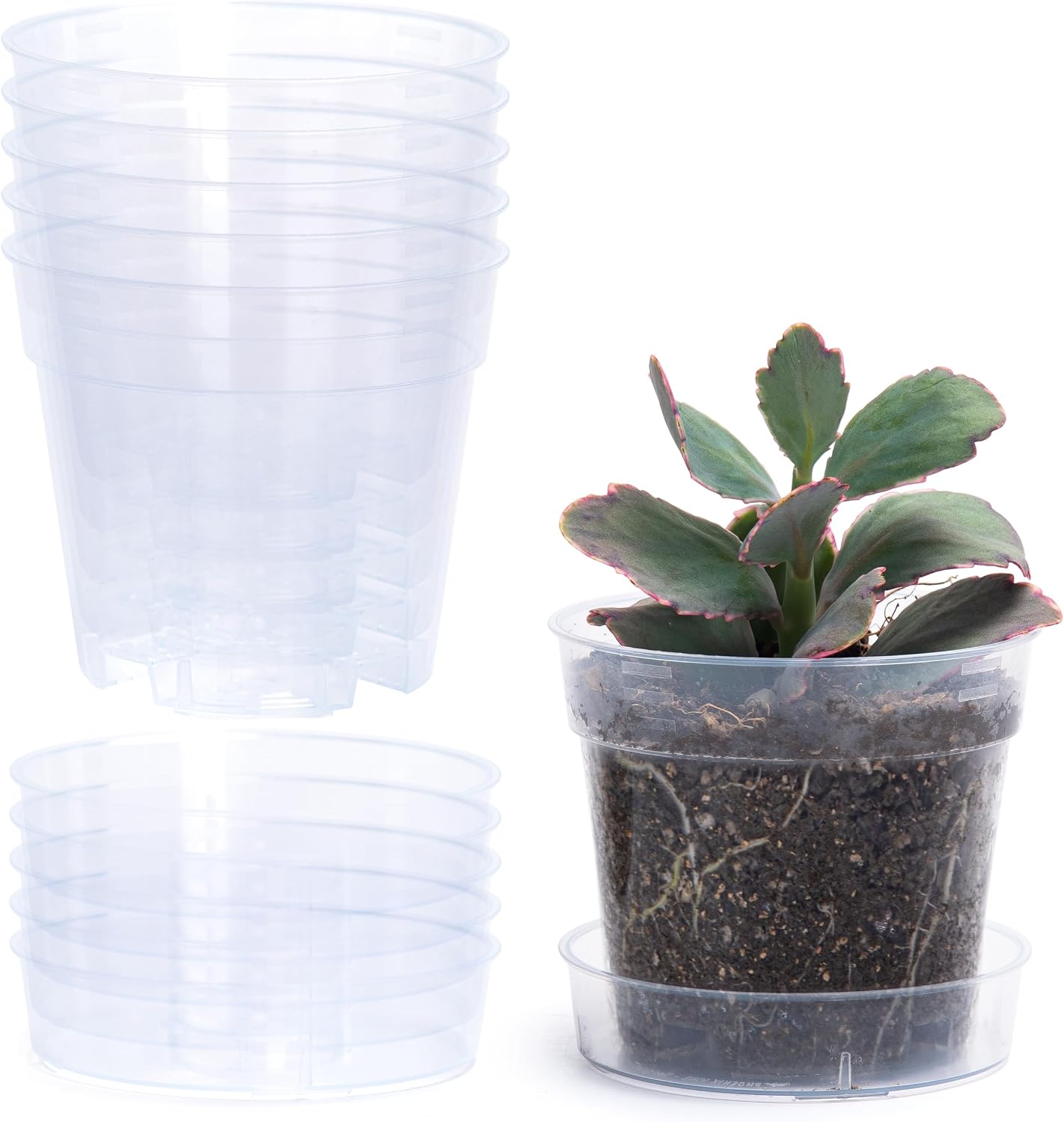 Maceta plástico transparente 4pulg con drenaje bandeja desmontable