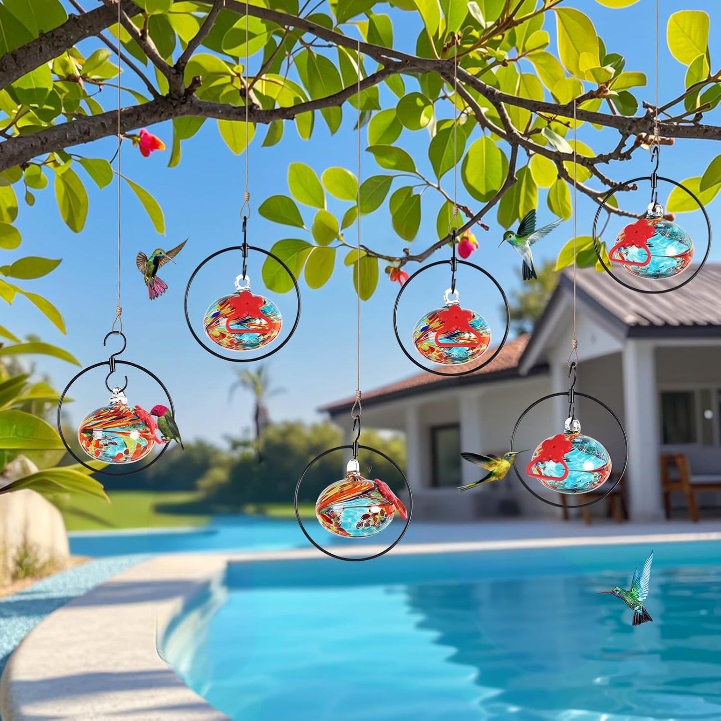 Comedero colibríes 6 círculos vidrio soplado con proteccion