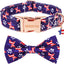 Collar perro mediano bandera estrellas