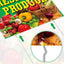 Letrero plástico corrugado 12x16" 3 Pzas para eventos