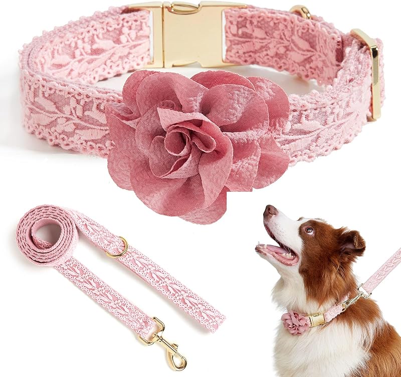 Collar perro rosa ajustable para medianos y niñas