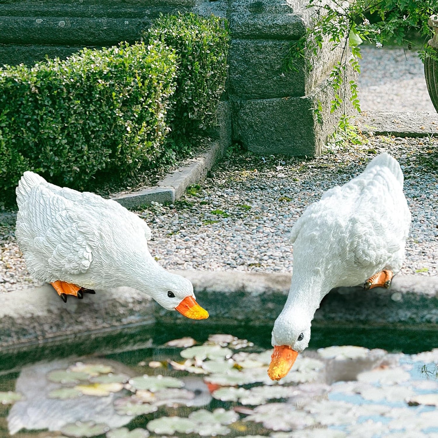 Estatuas pato resina decoración jardín piscina césped