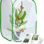Jaula hábitat insectos 23.6"
