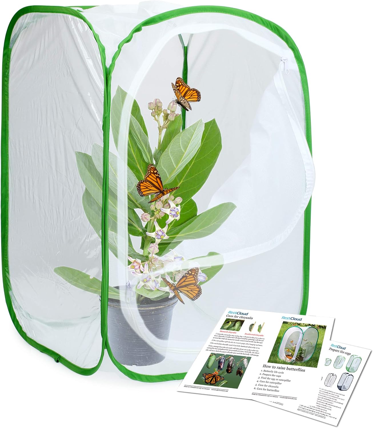 Jaula hábitat insectos 23.6"