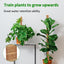 3 Postes Musgo 26.8pulg Soporte Plantas Trepadoras