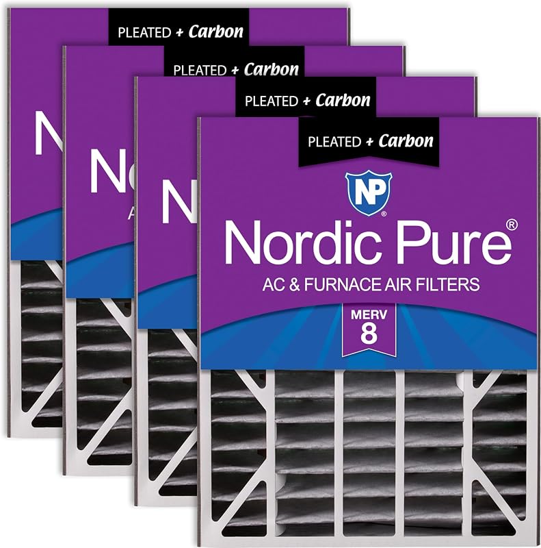 Filtro CA Air Bear MERV 8 Plus Carbon 4 Pack 20x25x5