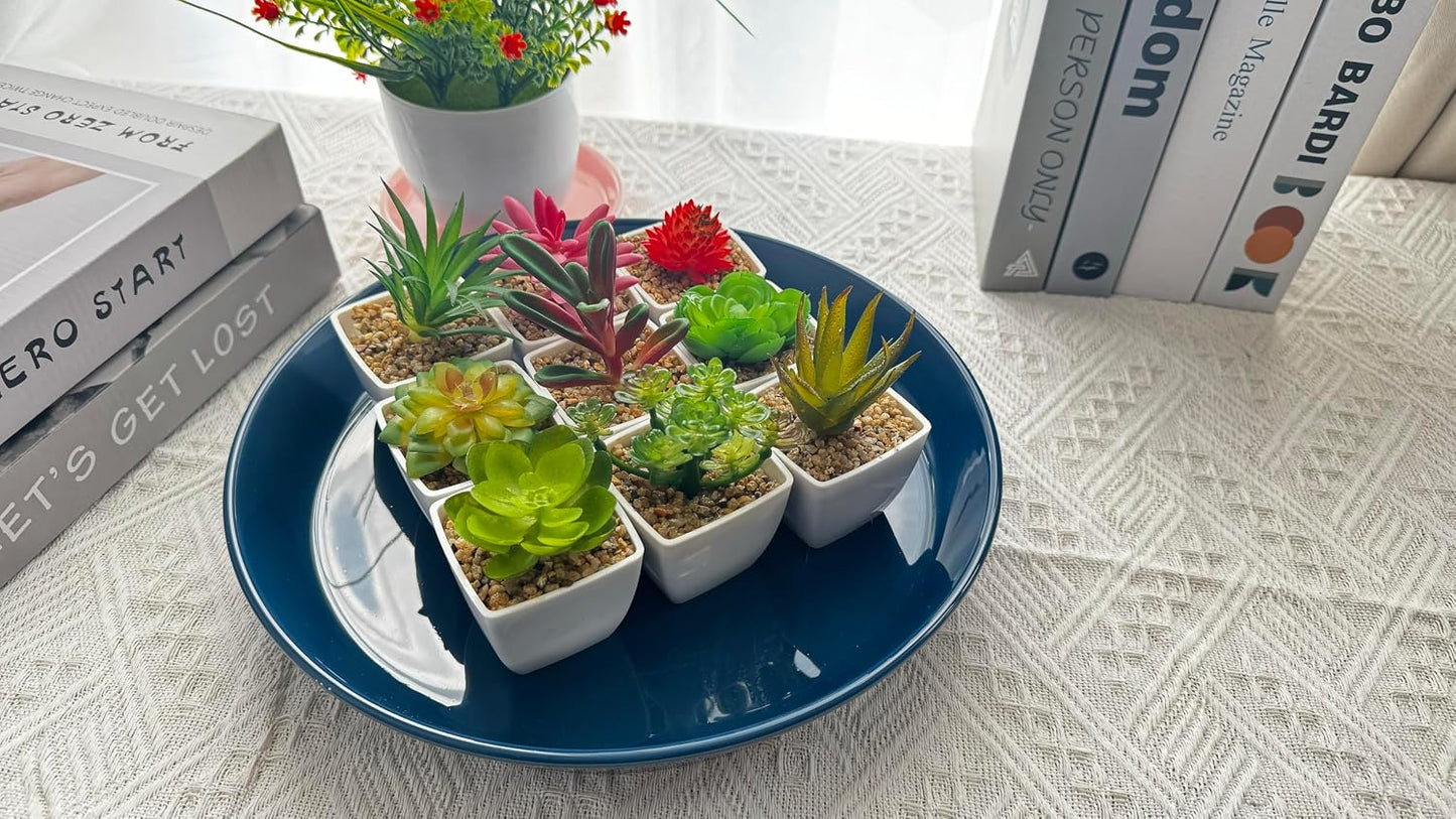 Platillo para plantas 12pulg bandeja cerámica 11.9
