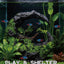 Decoración acuario cueva lunar para peces y camarones