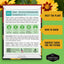 Semillas Coreopsis Plains para plantar 1 pack
