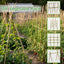 15 Pzas Postes Bambú Natural para Jardín Tomate Frijol