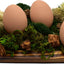 Huevos cerámica nido pack 4 color marrón antipicoteo