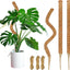 3 Postes Musgo 26.8pulg Soporte Plantas Trepadoras