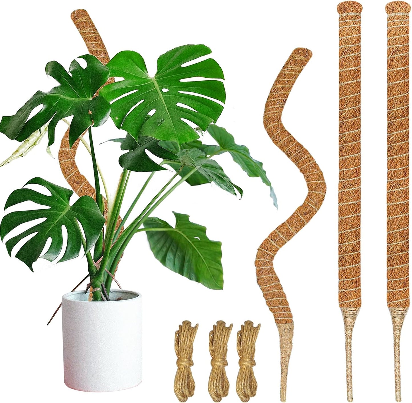 3 Postes Musgo 26.8pulg Soporte Plantas Trepadoras