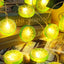 Tira luces lima LED 20 bombillas para patio y valla