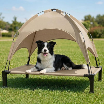 Cama elevada perro grande toldo malla transpirable