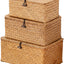 Cesta almacenamiento tapa set 3 cestas pasto marino natural
