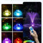 Fuente estanque con luces LED y bomba 660 GPH P1104D
