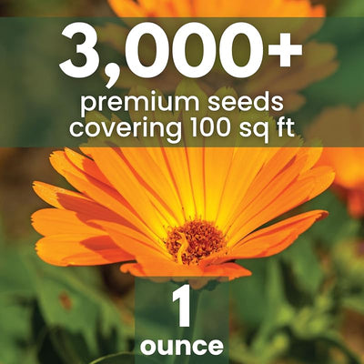Paquete 1oz 3000 semillas Calendula para plantar