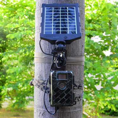 Soporte cámara sendero árbol set pack 2