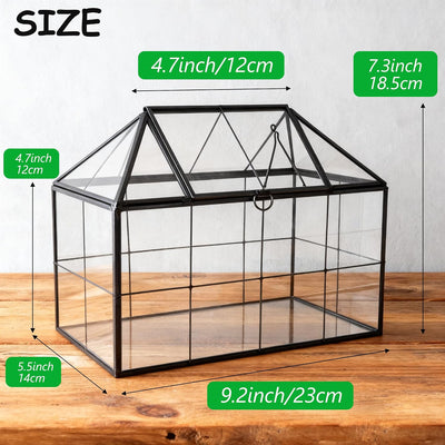 Maceta terrario con tapa giratoria vidrio negro 9.2x5.5x7.3pulg