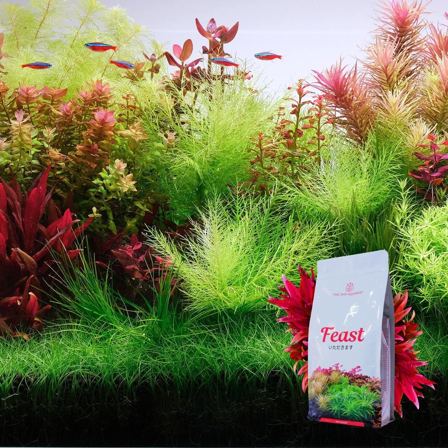 Sustrato para Acuario con Plantas 15l de Capacidad