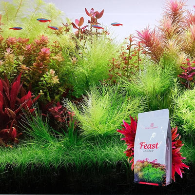 Sustrato para Acuario con Plantas 15l de Capacidad