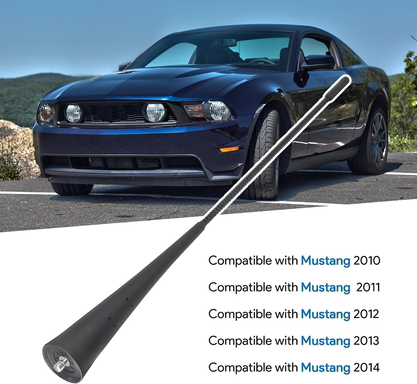 Mástil antena coche comp Mustang AR3Z-18813-A