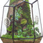 Caja cristal geométrica terrario 7.9x6.9x9.8pulg con ventilación